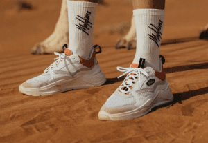 male-lions-case-happy-horizon